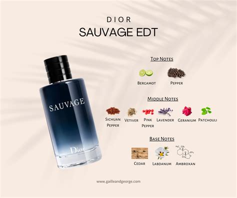 sauvage perfume notes